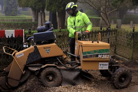 Stubbfräsningen i Skåne med Alias Arborist