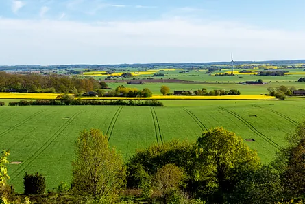 Skåne landskap gröna fält Alias Arborist